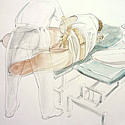Julia Midgley